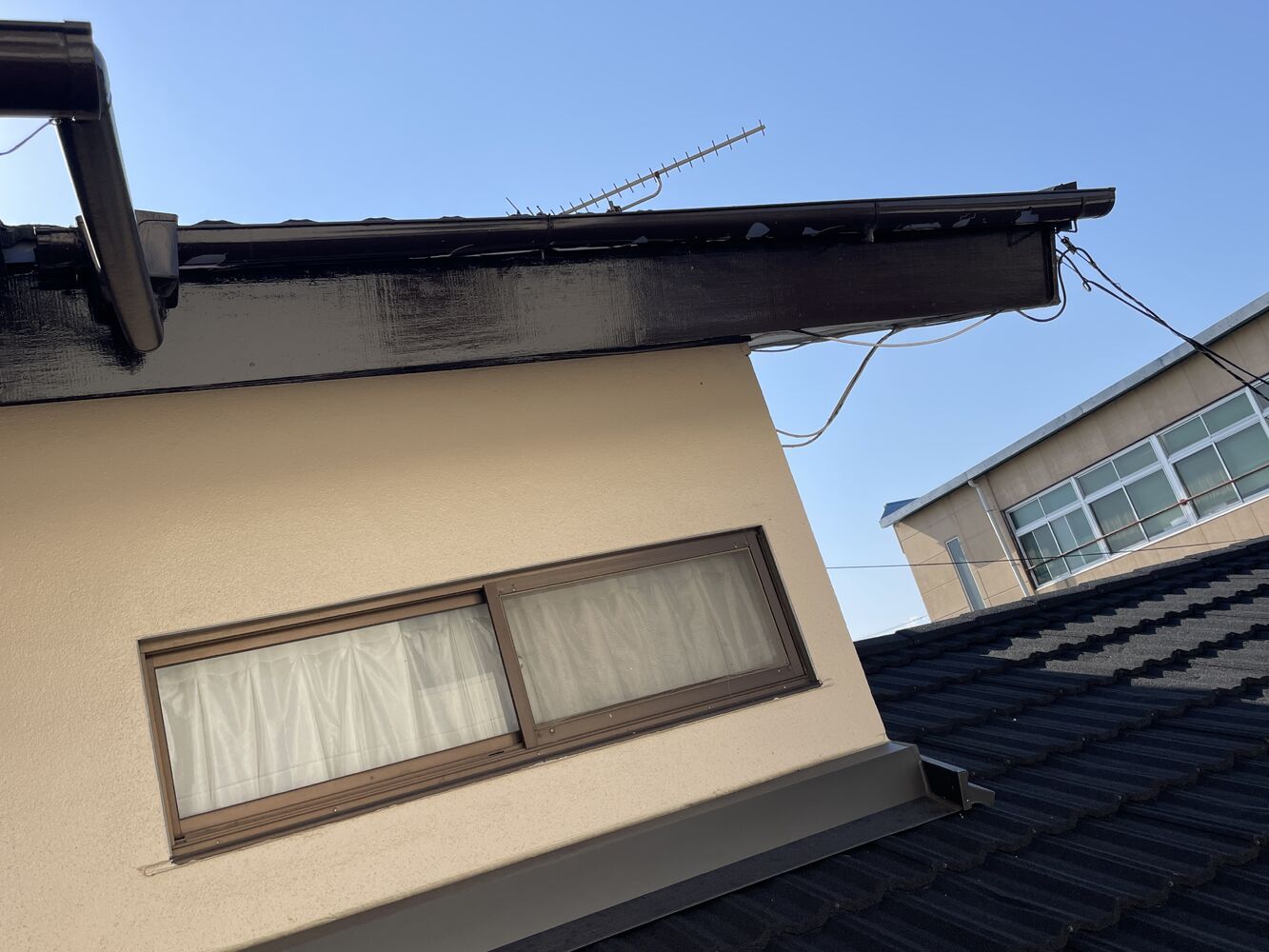 画像3467
